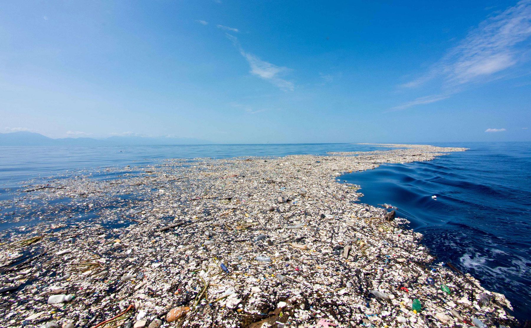 A photo of a build-up of plastic in the ocean
